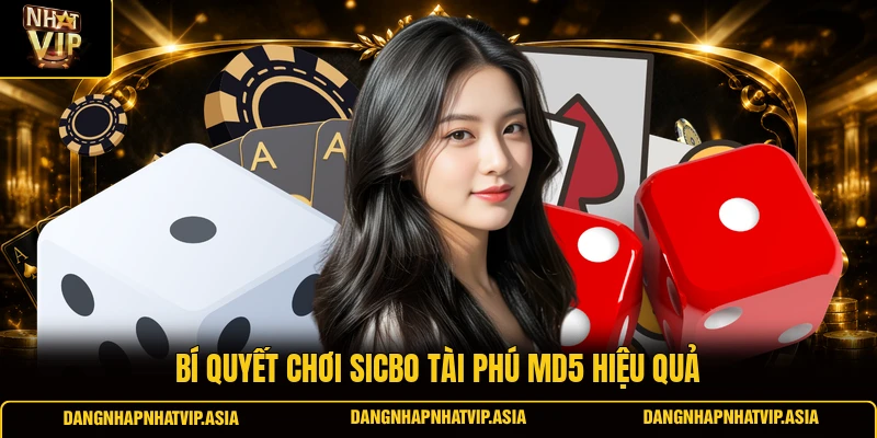 Bí quyết chơi Sicbo tài phú MD5 hiệu quả